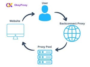 backconnect proxies