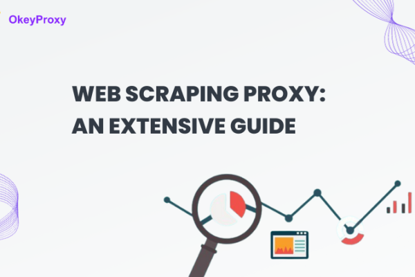 Web Scraping Proxy An Extensive Guide