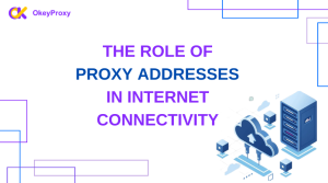 the role of Proxy Addresses in internet connectivity