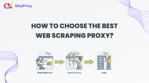 The Best Web Scraping Proxy