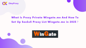 How To Set Up Socks5 Proxy List Wingate.me in 2023