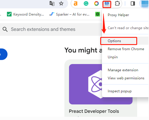 click the icon of the Proxy Helper extension and click “Options”.
