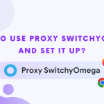 How To Use Proxy SwitchyOmega