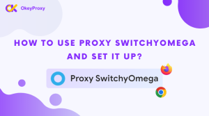 Wie man Proxy SwitchyOmega benutzt