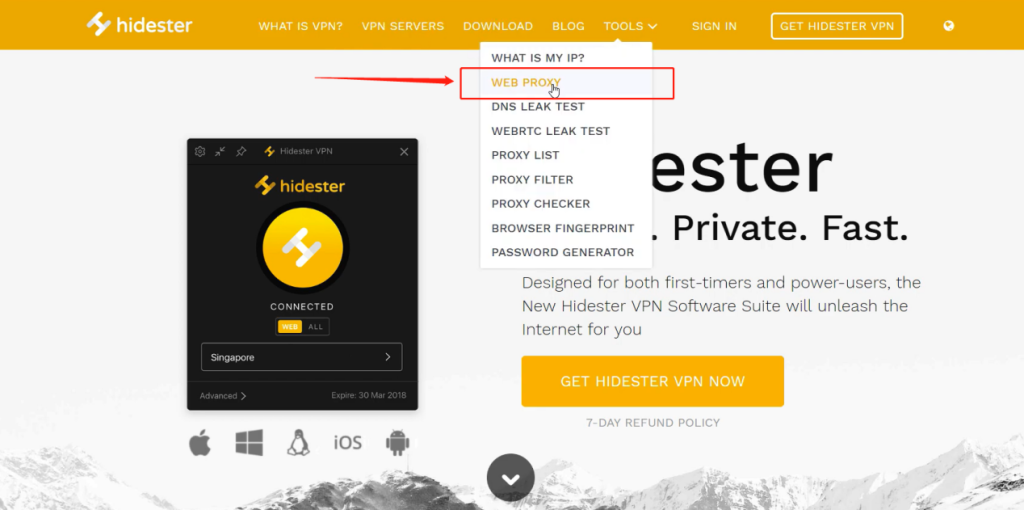 Visit hidester and choose web proxy