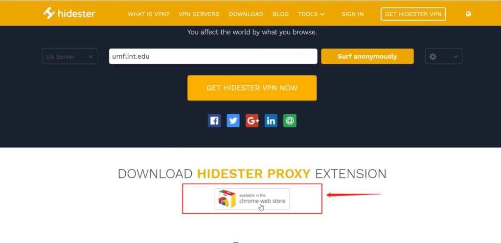 Add hidester extension from the Chrome web store