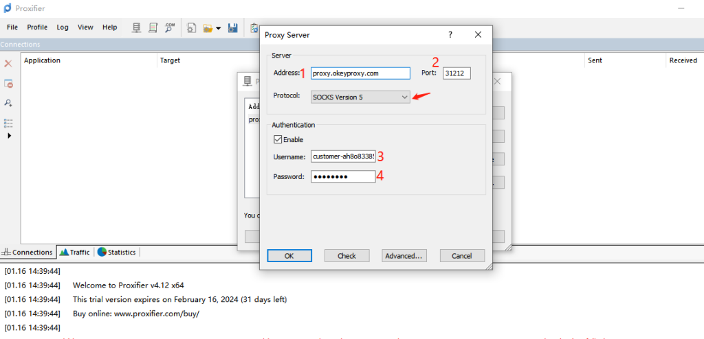 paste proxy info into settings in proxifier