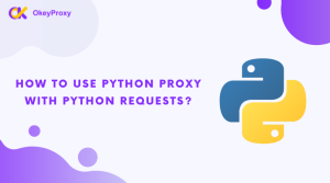 如何在 Python 请求中使用 Python 代理