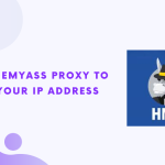 Use HideMyAss Proxy to Hide Your IP Address