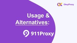 usage and alternatives of 911 proxy