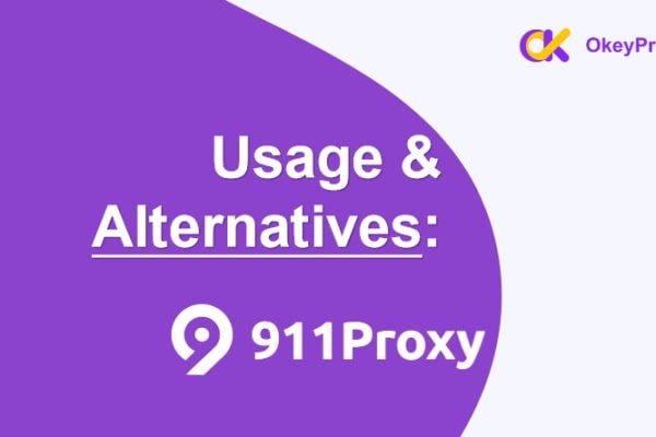 usage and alternatives of 911 proxy