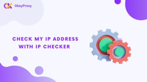 check ip