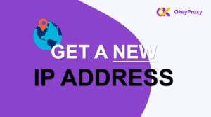 get new ip address