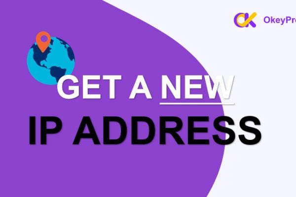 get new ip address