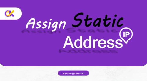 assign static ip address