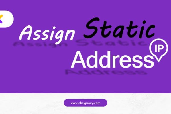 assign static ip address