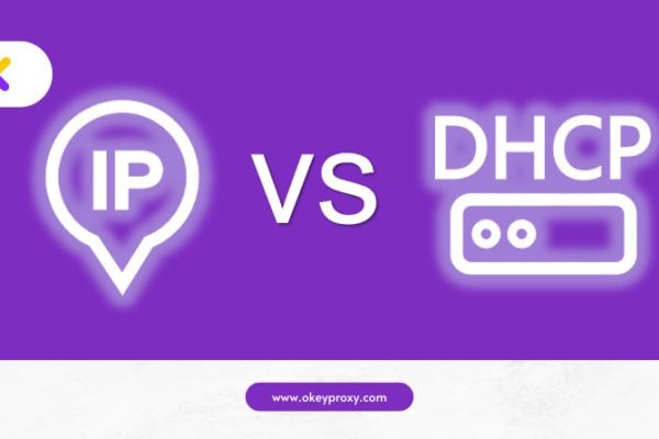 ip estática vs dhcp