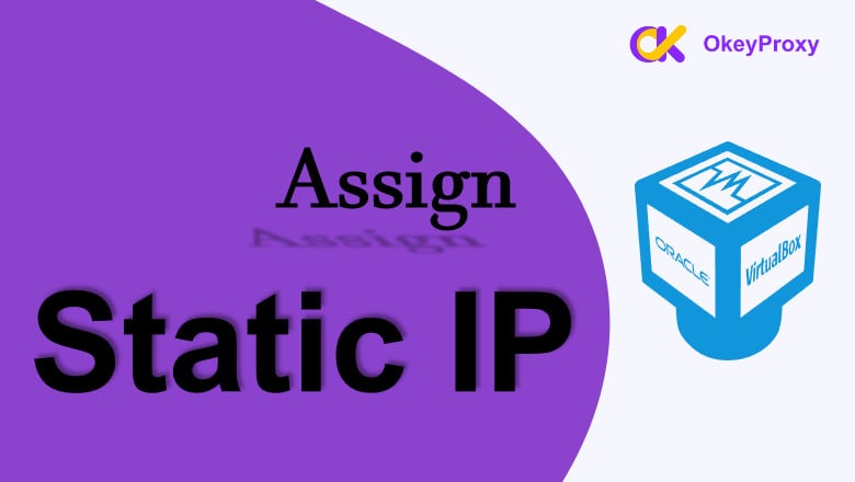 assign a static ip in virtual box