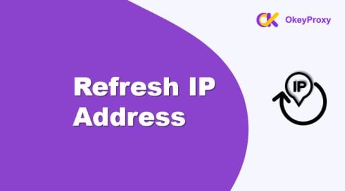 Comment rafraîchir l'adresse IP