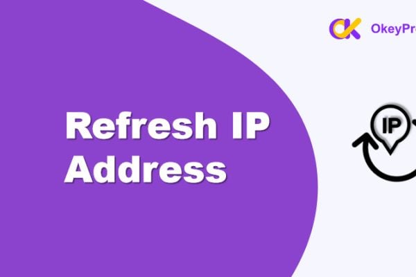 how to refresh ip address