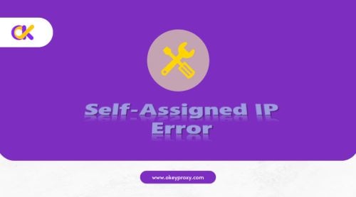 fix self-assigned ip address error