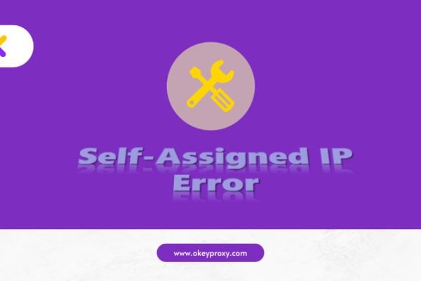 fix self-assigned ip address error