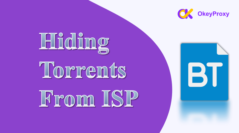 hiding torrents from isp​