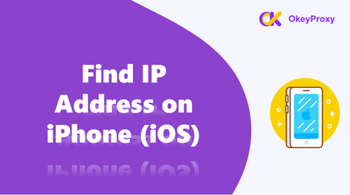 how to find ip address on iphone