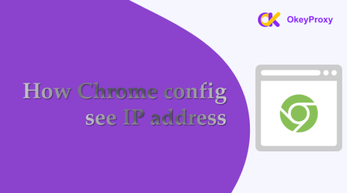 chrome config voir adresse ip