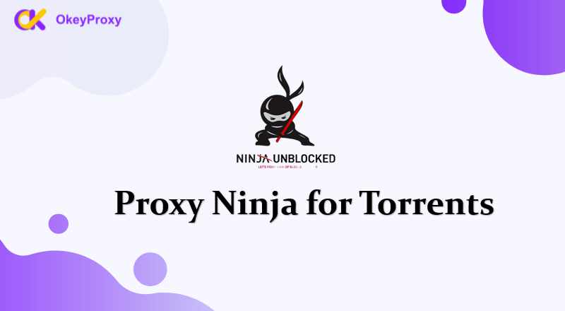 proxy ninja for torrents