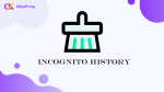 incognito history